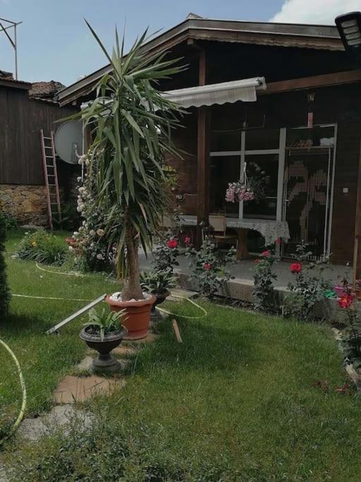 Hotel Lucky 2 Paweł Banja Zewnętrze zdjęcie